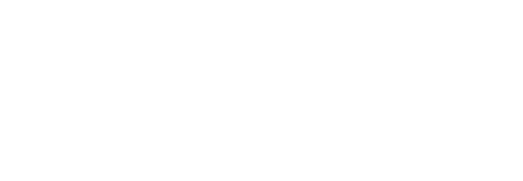 iCONEX